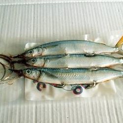 It’s going to be a great weekend, so get out on the water. Need Bait? Come Buy & Save $$$