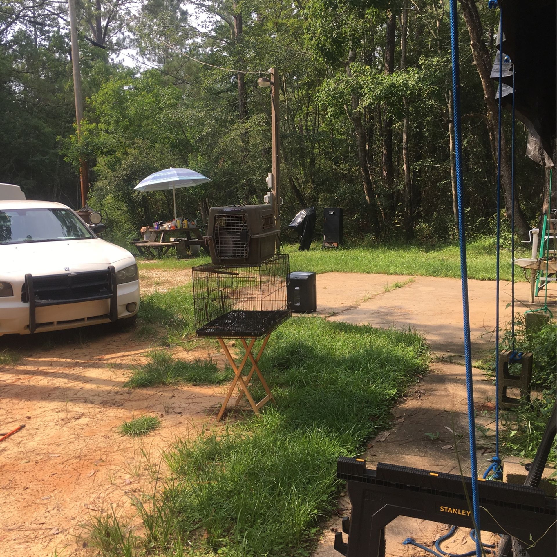 Bird Cage  / Pet Carrier 