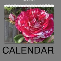 WALL ROSES CALENDAR 2026 YEAR