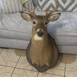 Mounts 