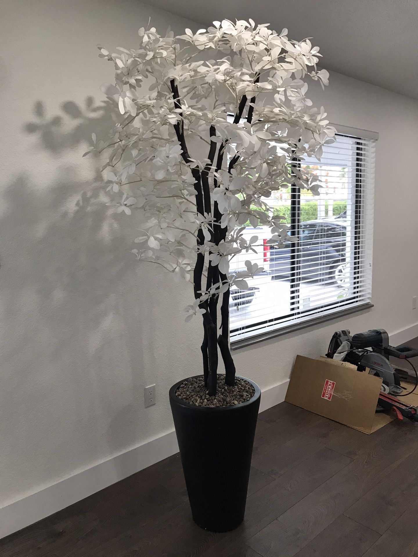 Decorative Plant