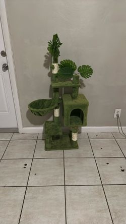 Cat House