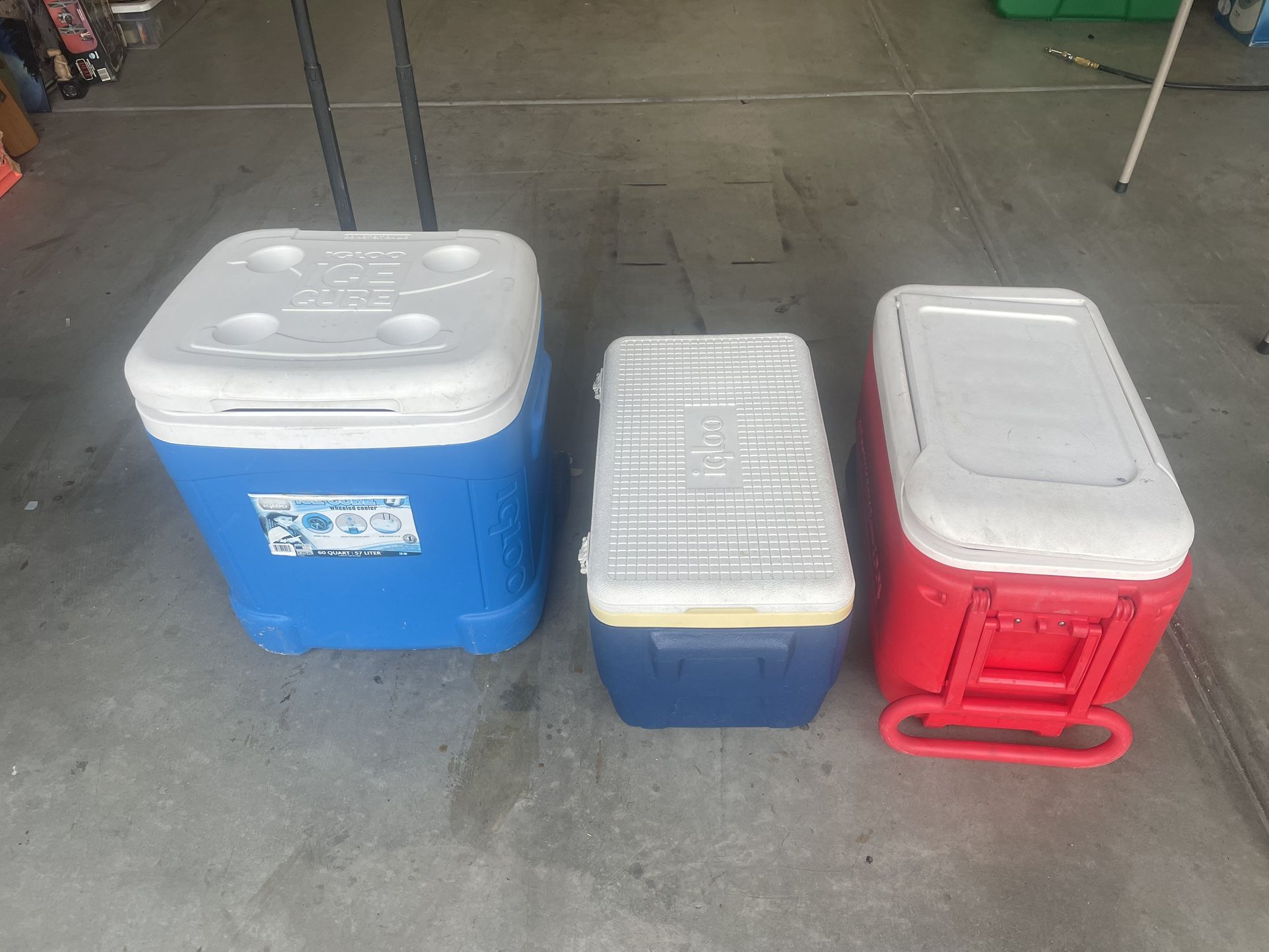Igloo Coolers