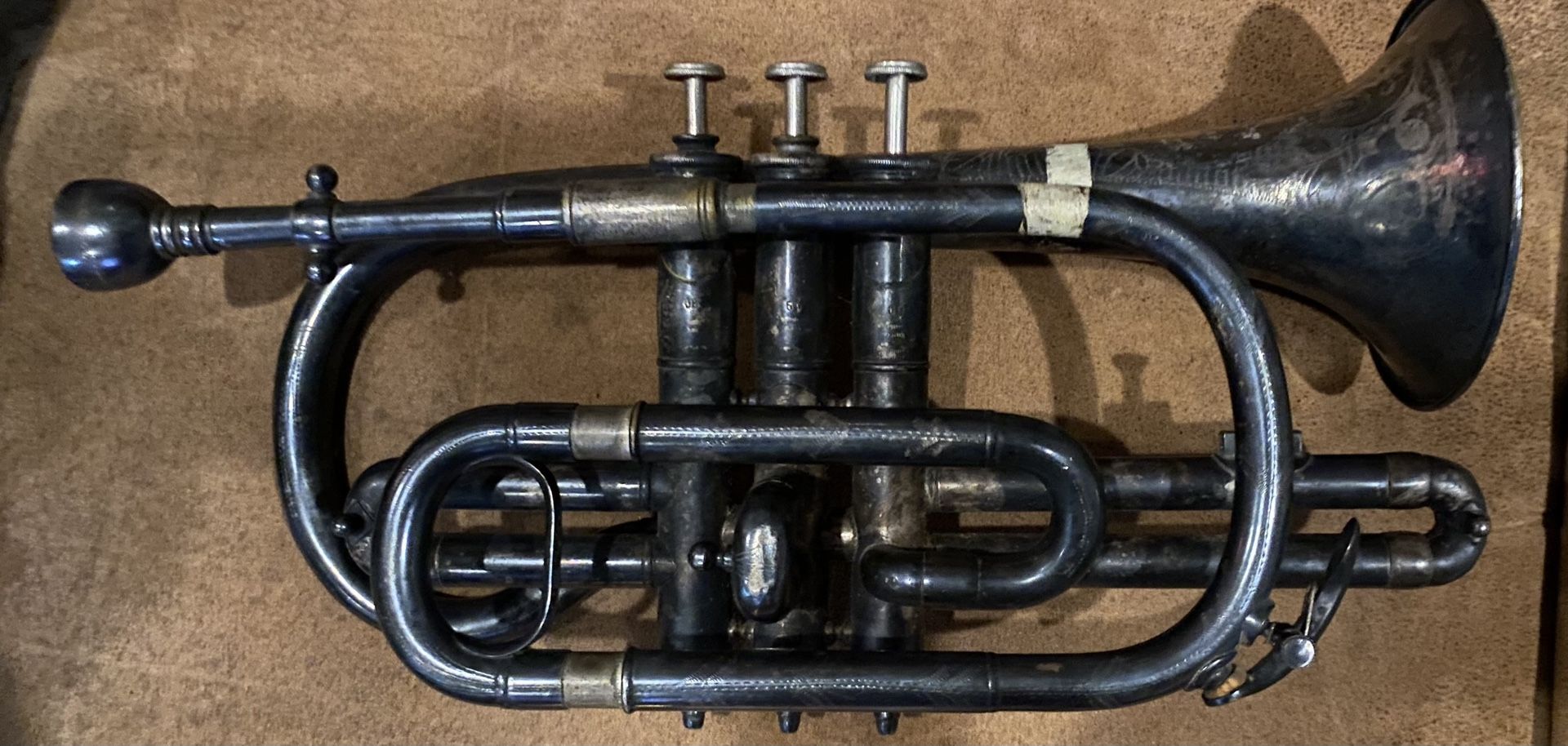 “Surprise” Cornet