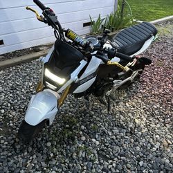 2020 Honda Grom