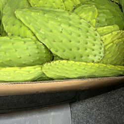 Nopales /Cactus pads / Fresas.   viernes y sabado 6/19-6-19