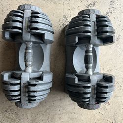 Bowflex Dumbbells And Bench