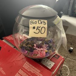 Bio Orb Aquarium With Decor 