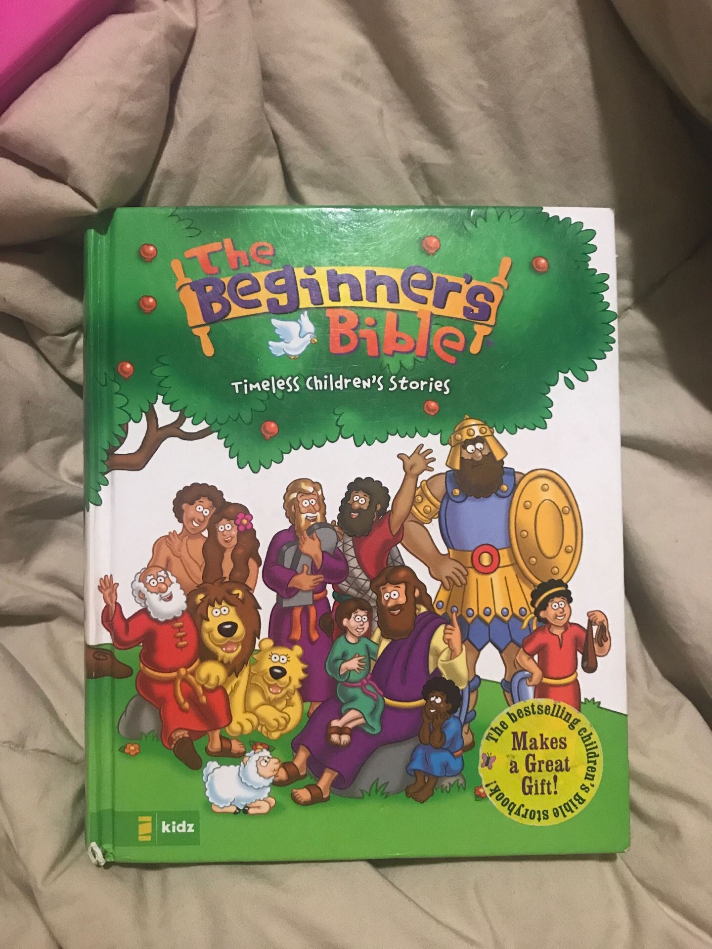 Beginner’s Bible