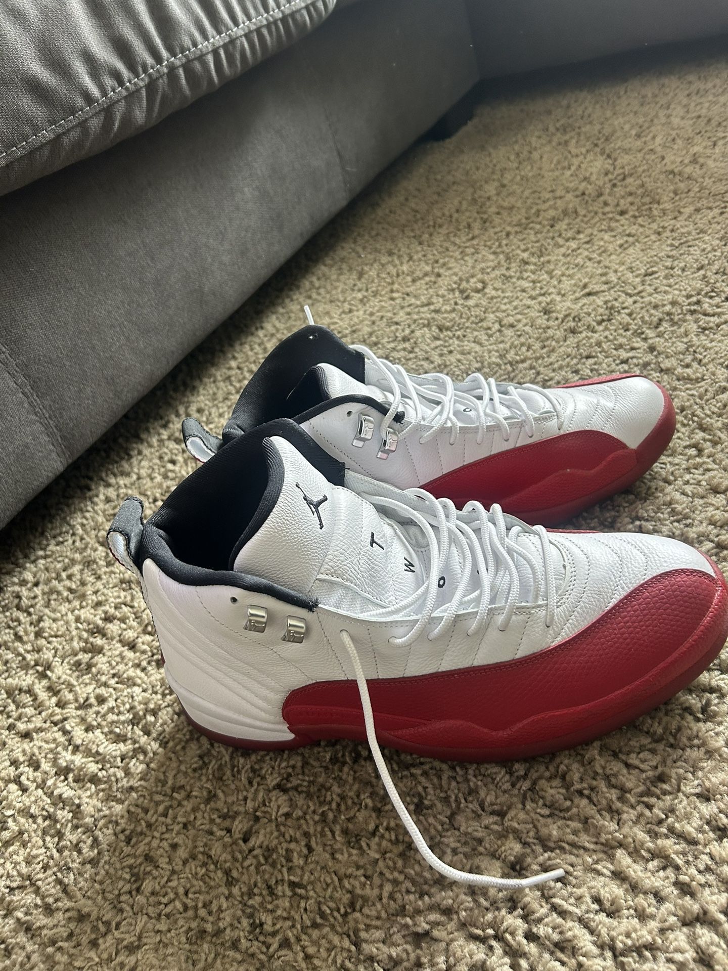 Retro Air Jordan 12