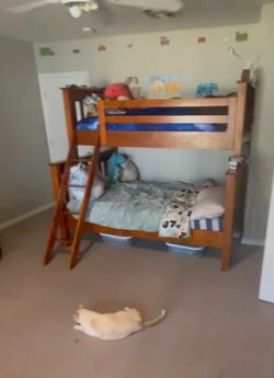 Free: Bunk bed, desk and chair
