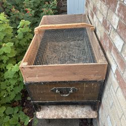 Chick/Poultry Brooder