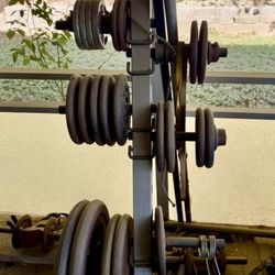 Weight Plates with Tree
