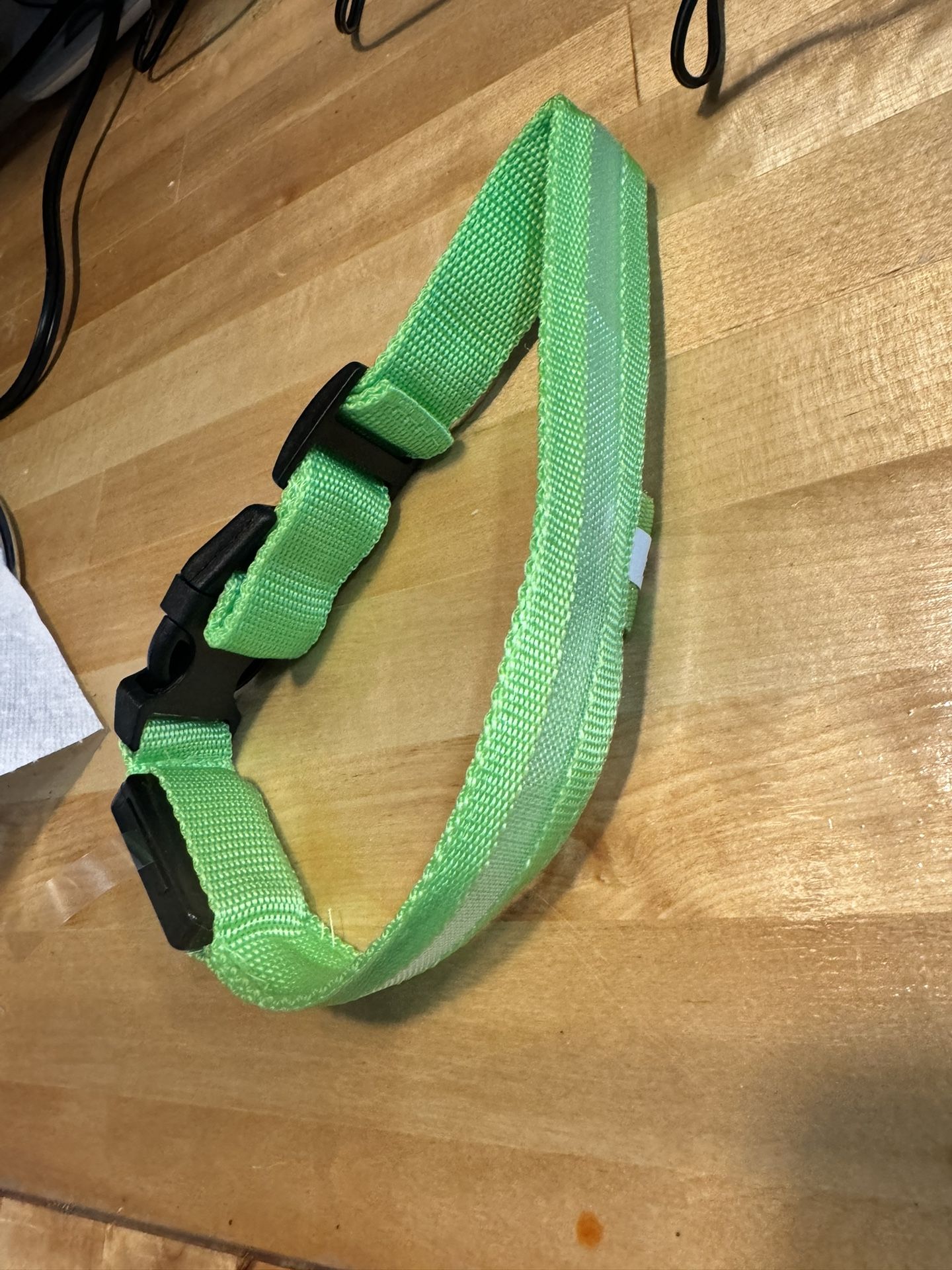 Dog Night Light Up Collar