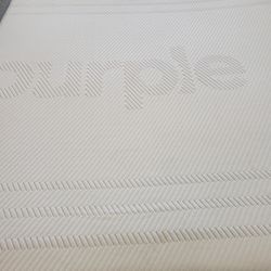 Purple 3 Hybrid In Queen