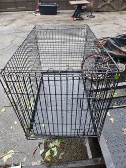 Dog Cage