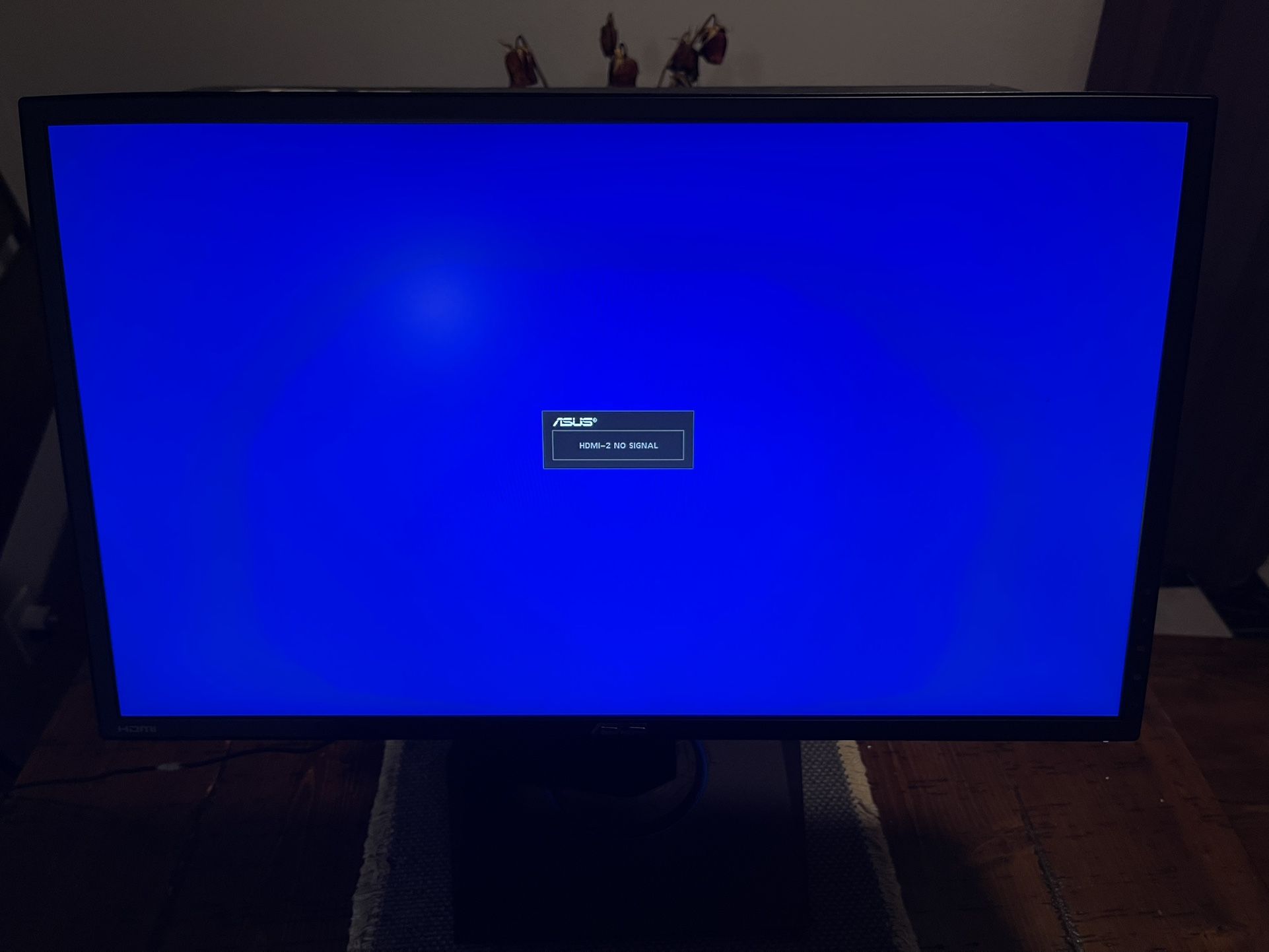 Asus VG245h 24 InchFull HD Gaming Monitor