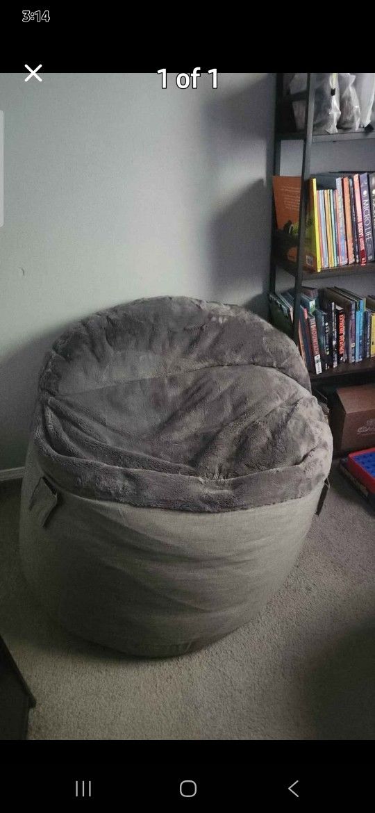 Bean Bag Chair Turns Into Bed