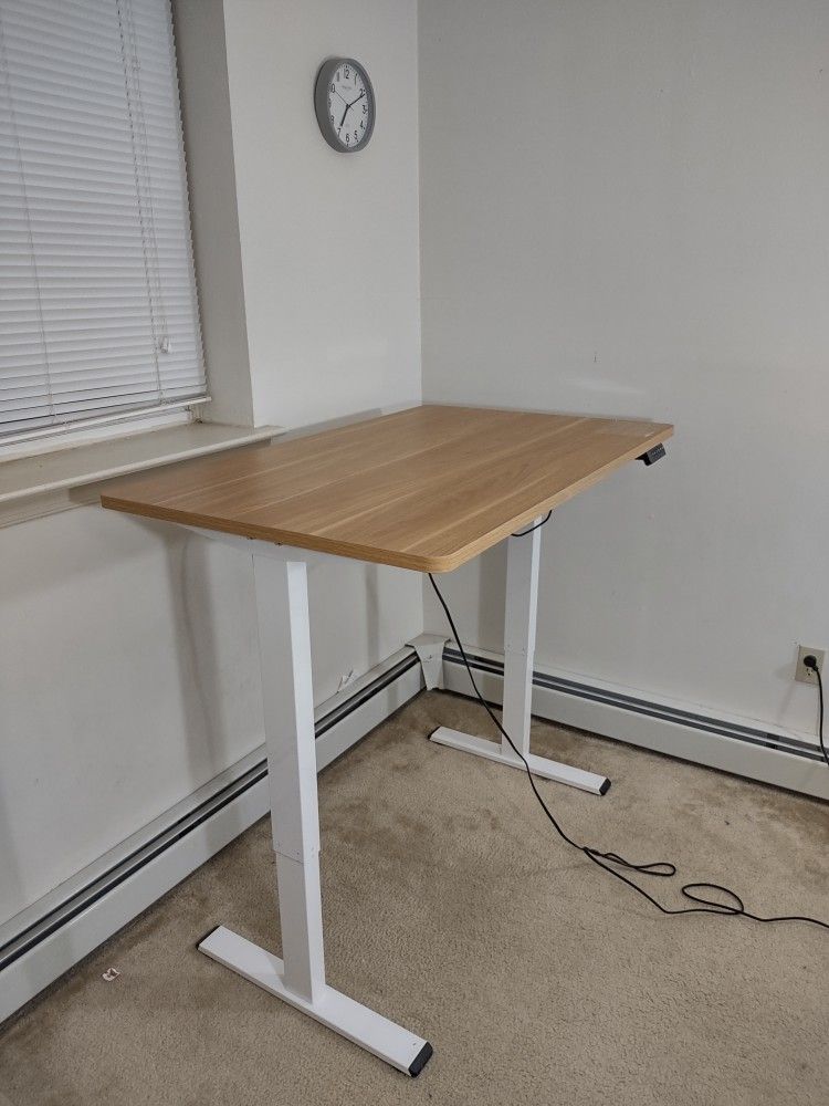 FLEXISPOT Whole-Piece Standing Desk, 48 x 30 Electric Stand Up Height Adjustable