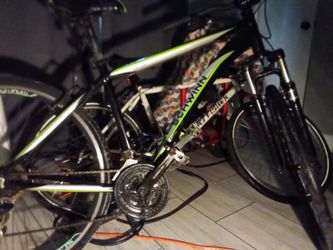 Schwinn Or2