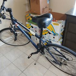 Schewinn Bike