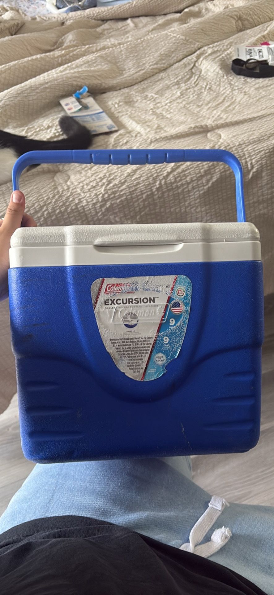 Cooler
