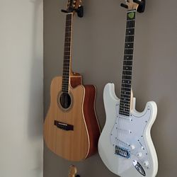 Zager Acoustic/electric 