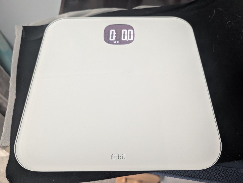 Google Fitbit Scale
