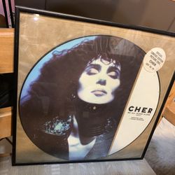 CHER- We All Sleep Alone (Remix) 12” Vinyl Picture Disc 1988 Rock