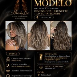 Modelo