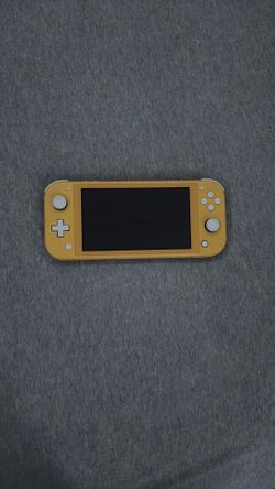 Nintendo switch lite
