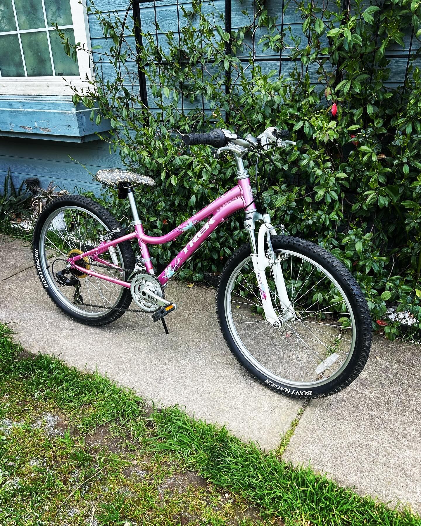 TREK MT220 YOUTH MOUNTAIN BIKE 24” Wheels