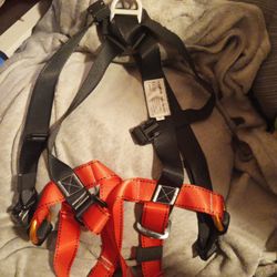 Have Fun  Reppelling