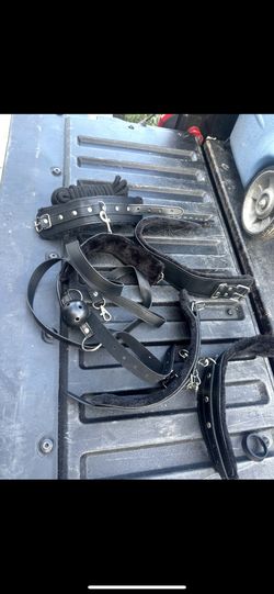 Collar And Accessories 