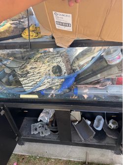  50 gallon tank with stand,decorations, glass top, marine 100 gallon filter, fish food gravel vacuum etc all for a complete setup minus the 