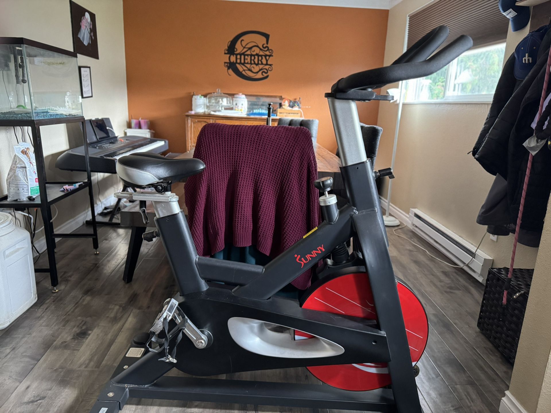 Sunny Exercise Bike