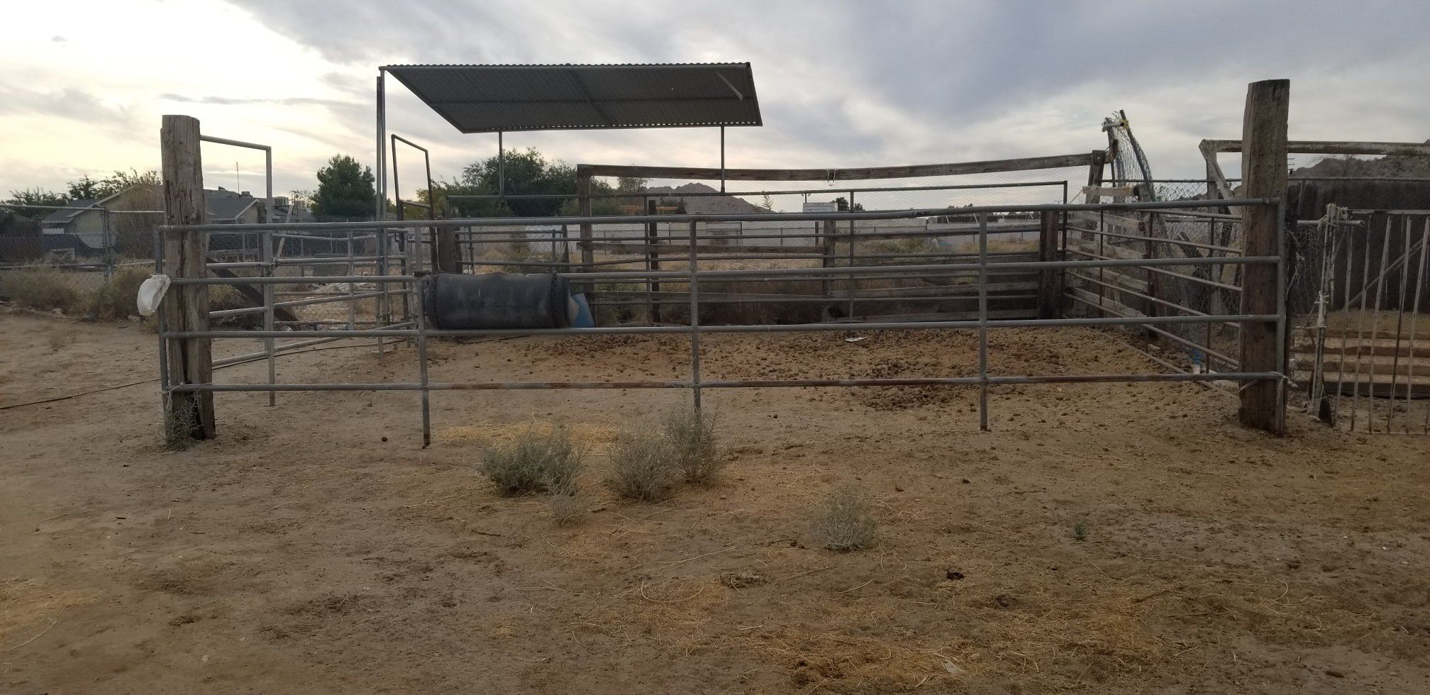 Complete horse corral 20 ×15 you remove it.