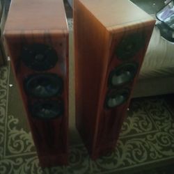 Vienna Mozart Speakers 