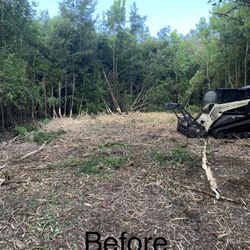 Land Clearing 