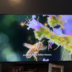 Sony Xbr-75X90CH  75 Inch Sony Bravia “No Stand”
