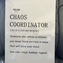 Chaos Coordinator Funny Canvas 