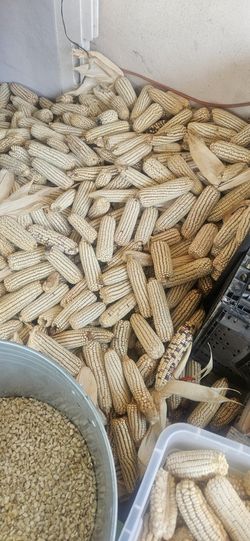 1 $     Libra.   Maiz IBRIDO  