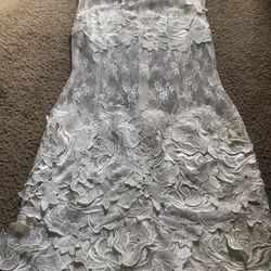 Vintage Lace Embroidered Dress