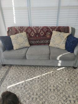 Pet Free Sofa