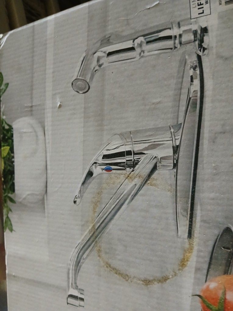 Kitchen Faucet