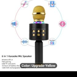 Two karaoke microphones