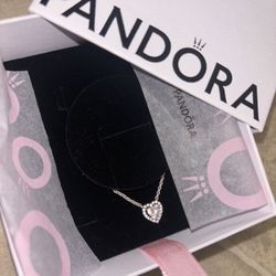 Sterling Silver Pandora Necklace 