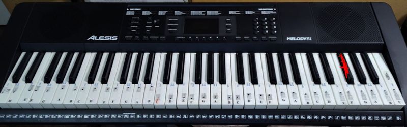 Portable piano keyboard Alesis Melody 61 MKII working