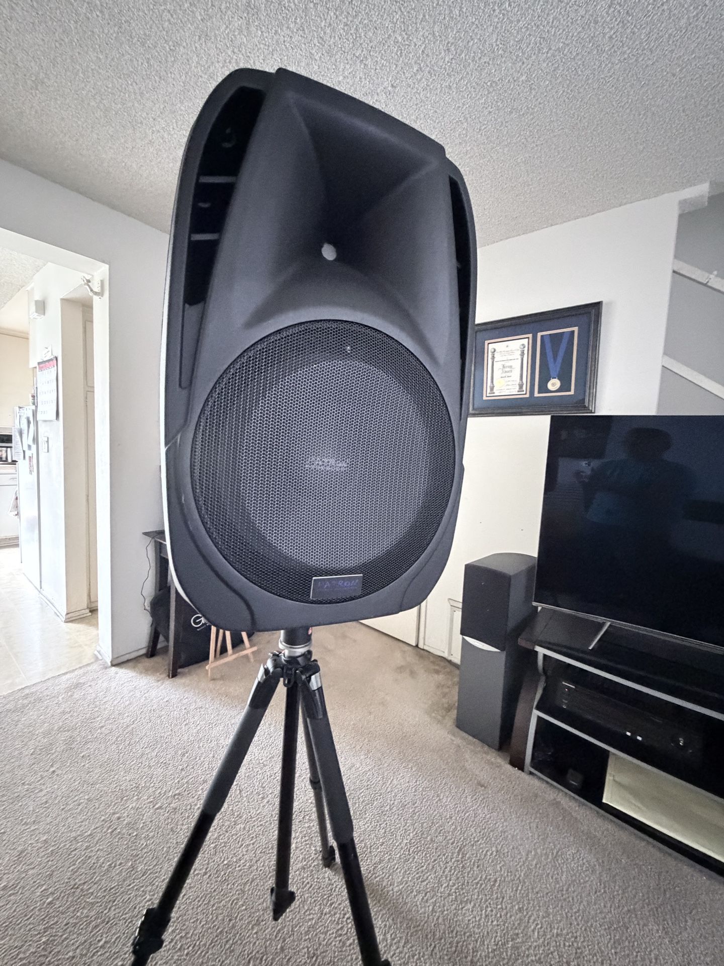 Patron Brand 4000w Portable Speaker