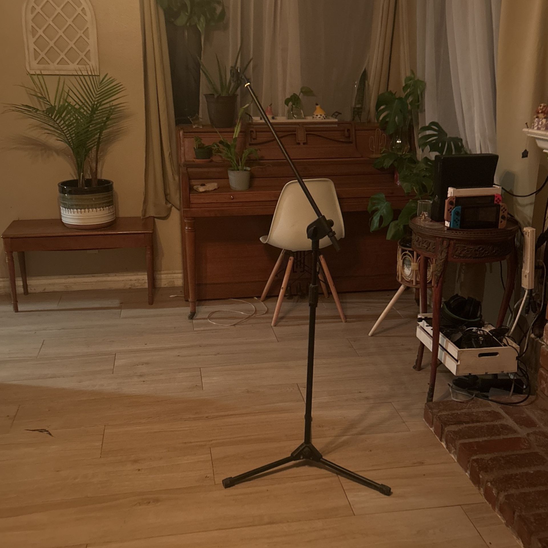 Mic Stand 30$